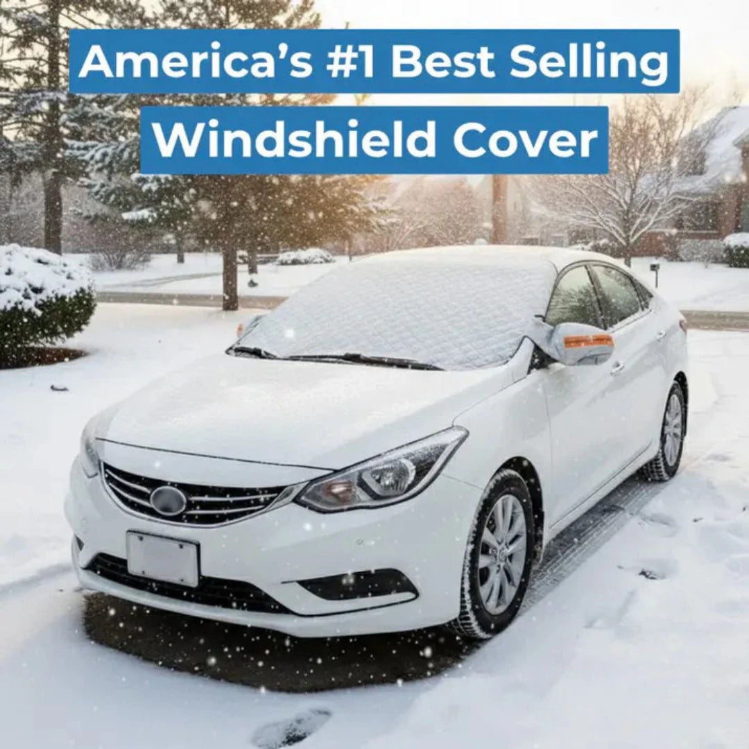 All-Season Windshield