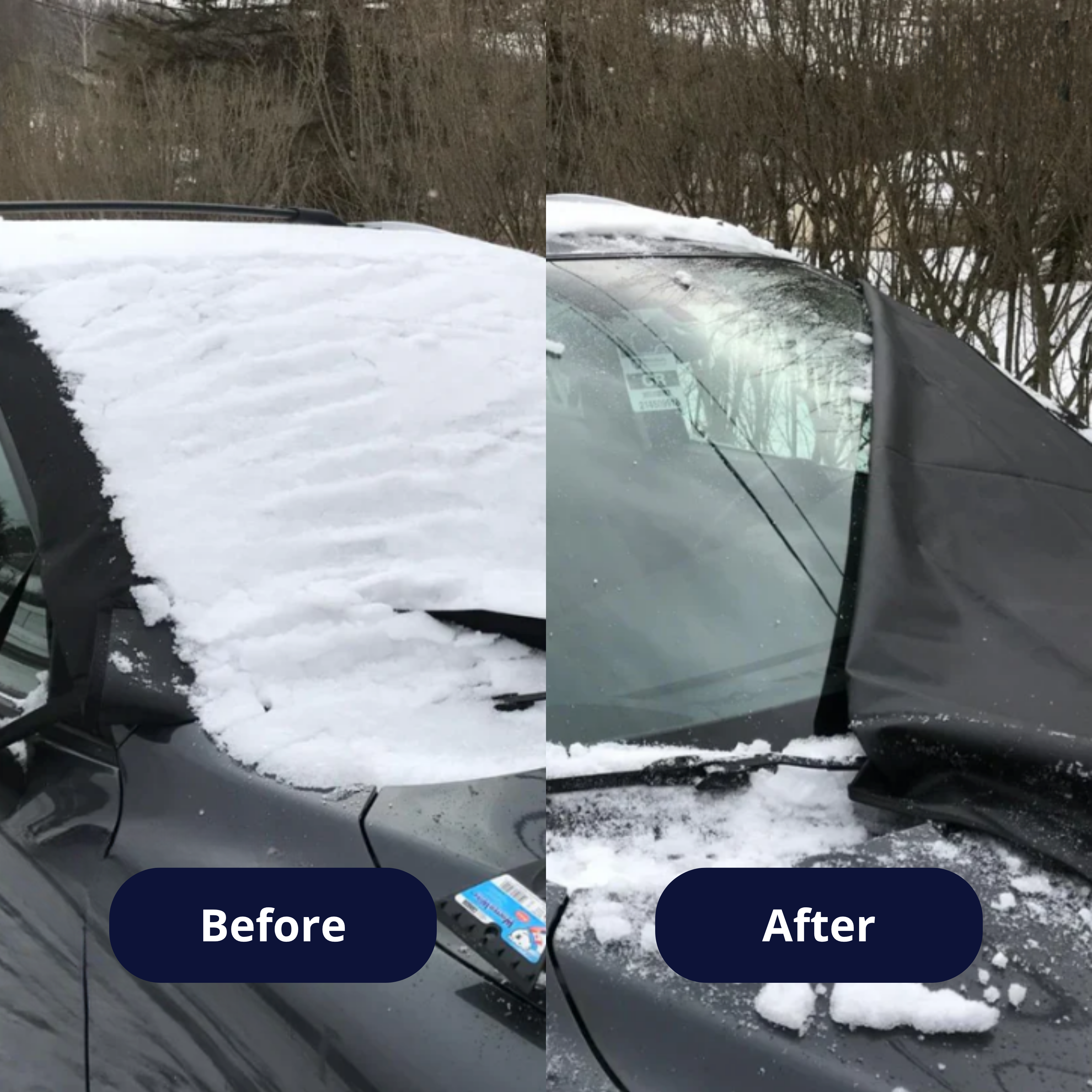 All-Season Windshield
