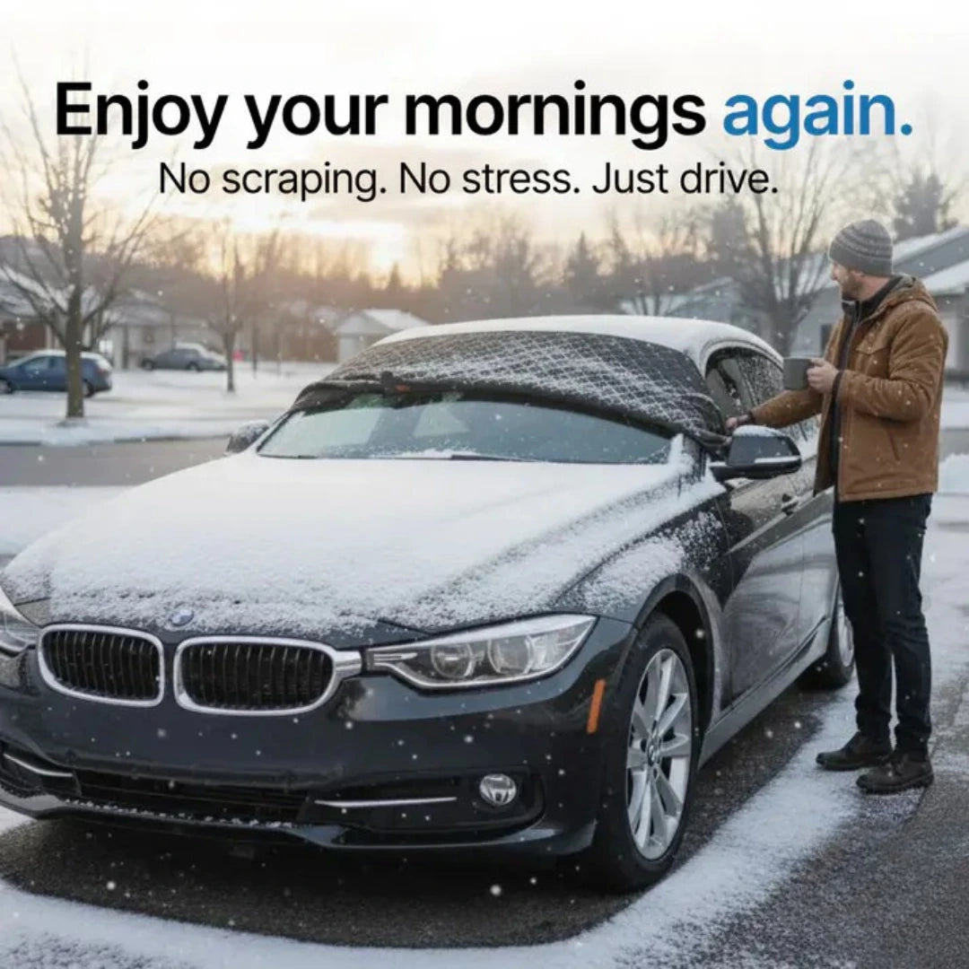 All-Season Windshield