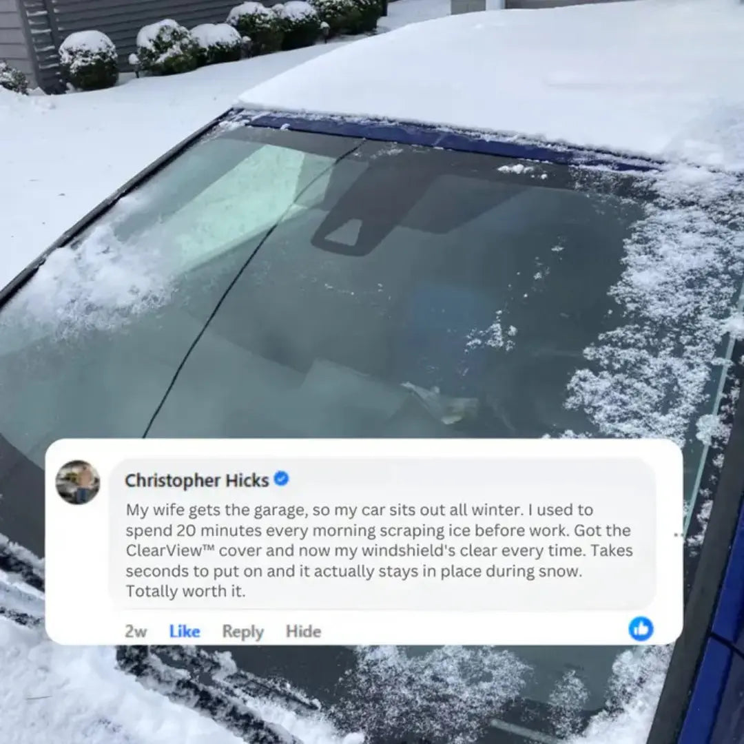 All-Season Windshield